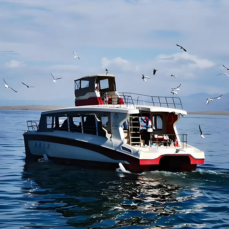 សាឡាងដឹកអ្នកដំណើរ Catamaran 15 ម